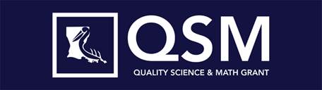 QSM Logo
